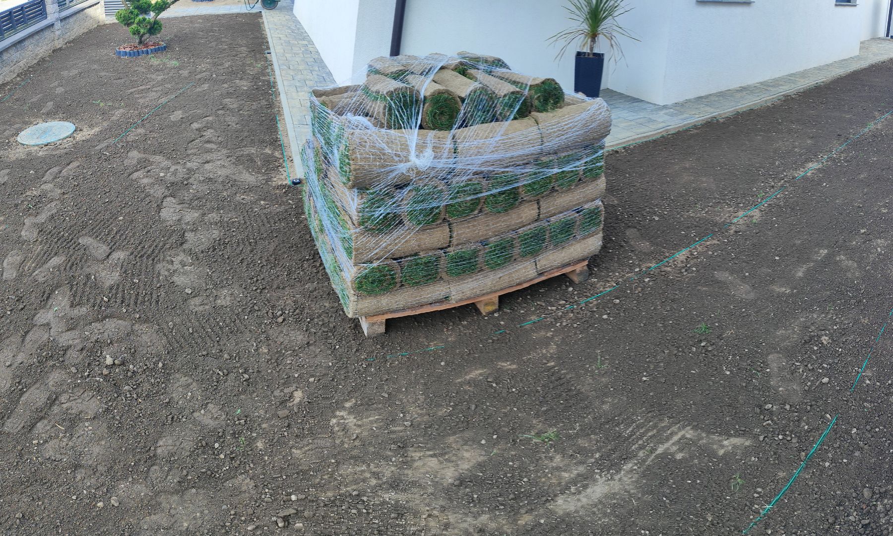 Paleta travne ruše je pripravljena za polaganje